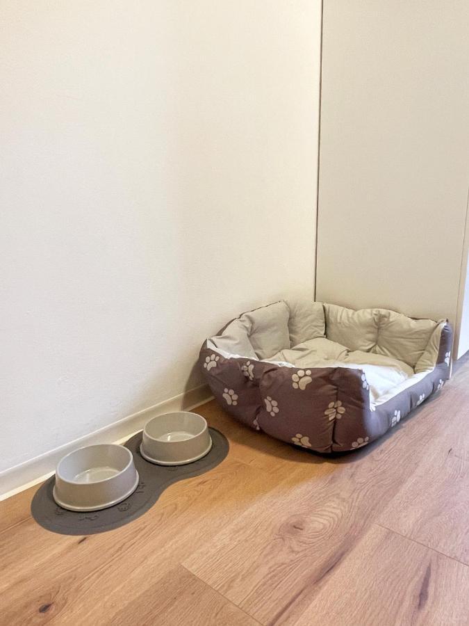 Moderne Studio Apartments In Nuernberg ภายนอก รูปภาพ